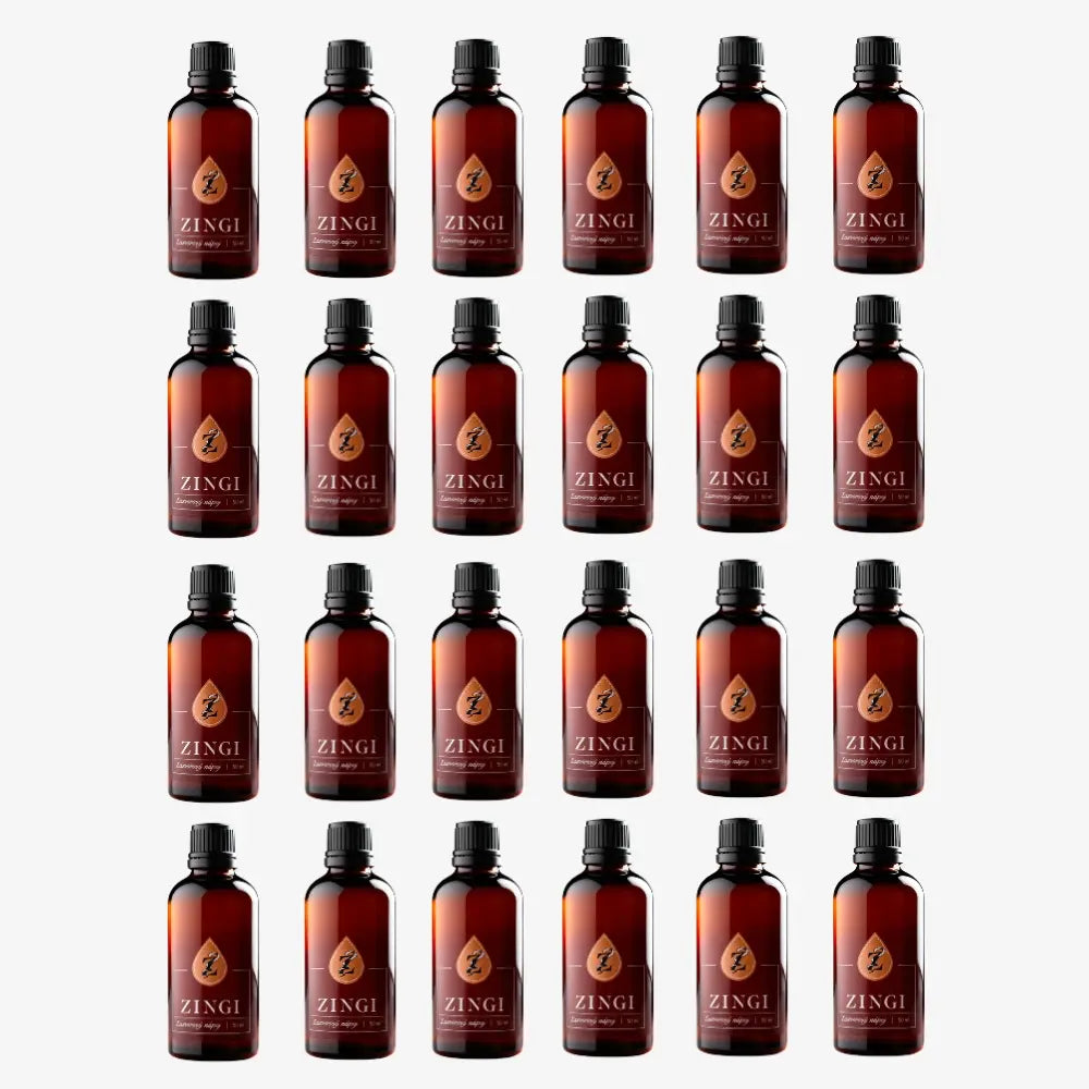 Zingi - zázvorový nealkoholický nápoj 50 ml | výhodný balíček 24 ks